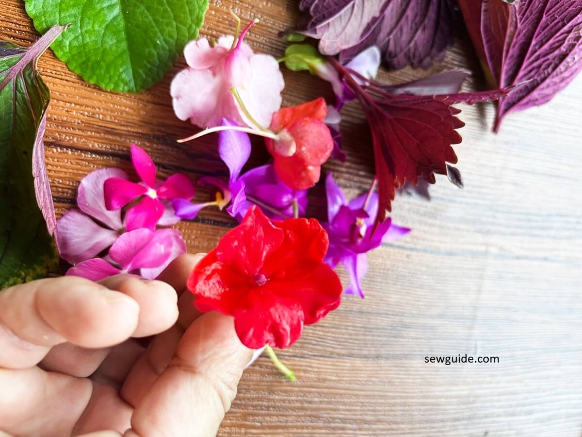flowers for ecoprinting
