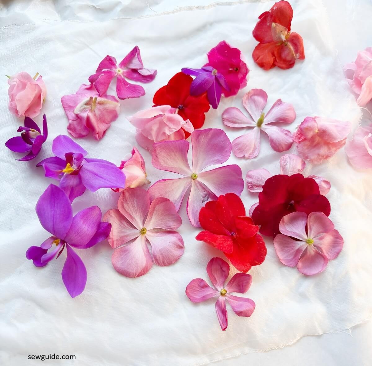 flowers for ecoprinting