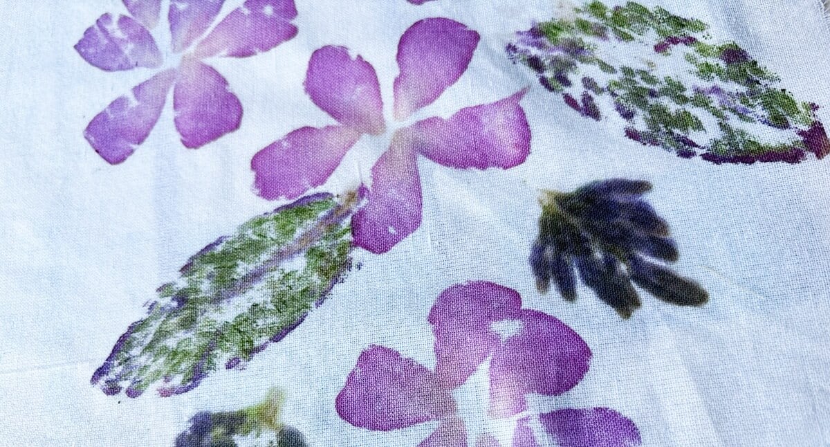 ecoprinting